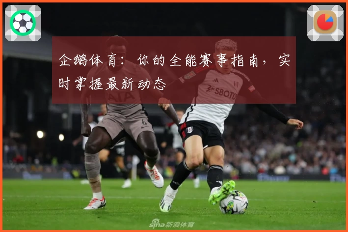 企鹅体育：你的全能赛事指南，实时掌握最新动态
