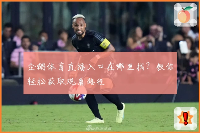 企鹅体育直播入口在哪里找？教你轻松获取观看路径