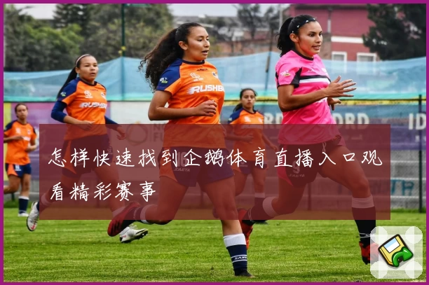 怎样快速找到企鹅体育直播入口观看精彩赛事