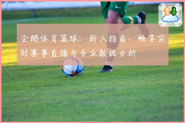 企鹅体育篮球：新人指南，畅享实时赛事直播与专业数据分析