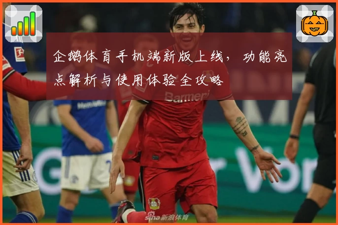 企鹅体育手机端新版上线，功能亮点解析与使用体验全攻略