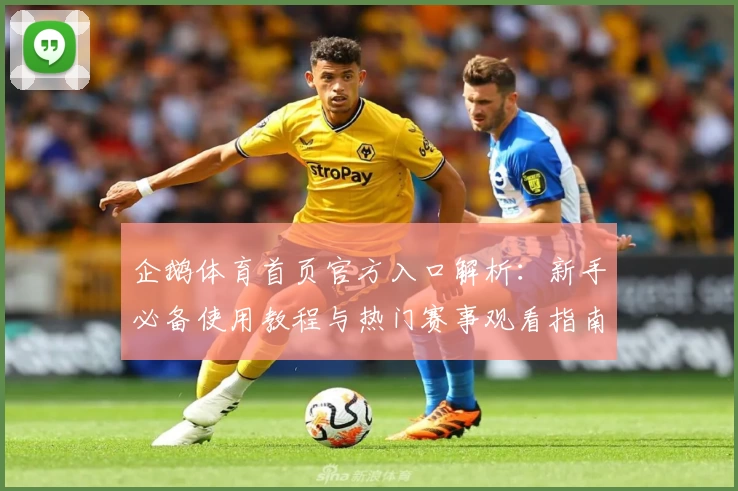 企鹅体育首页官方入口解析：新手必备使用教程与热门赛事观看指南