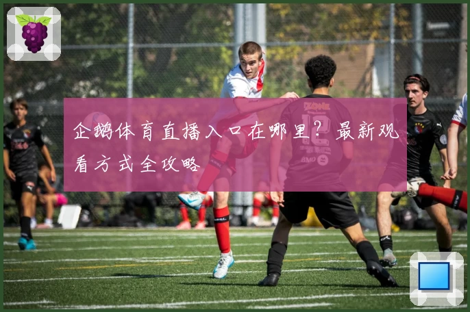 企鹅体育直播入口在哪里？最新观看方式全攻略