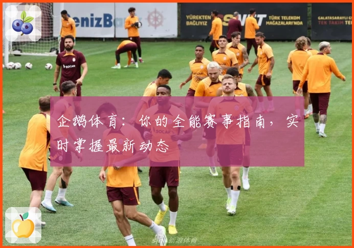 企鹅体育：你的全能赛事指南，实时掌握最新动态