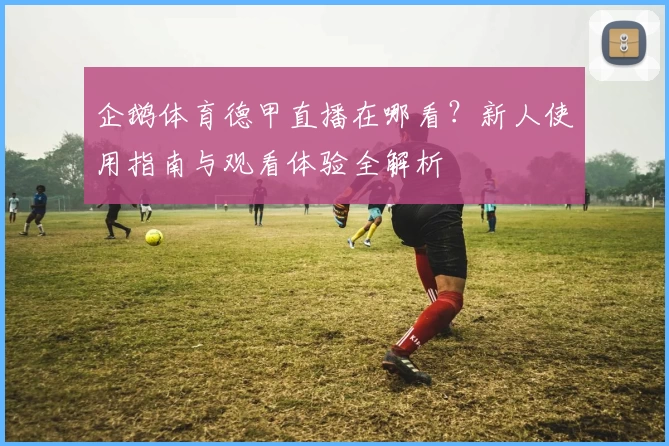 企鹅体育德甲直播在哪看？新人使用指南与观看体验全解析